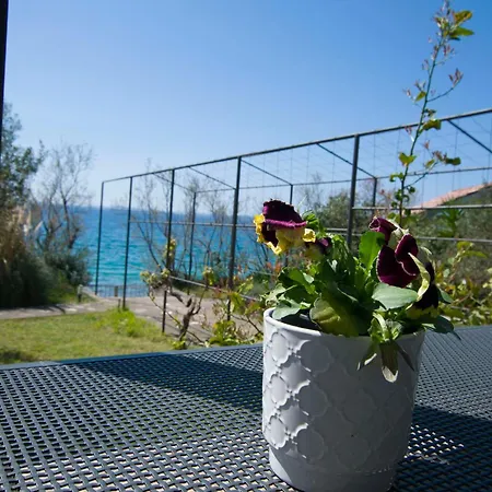 Διαμέρισμα Apartments More Kožino